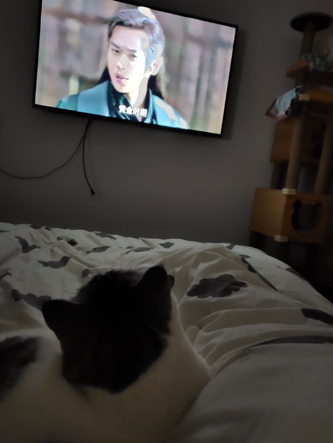 看电视前,先准备好小零食,一边看一边吃.