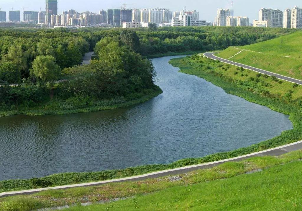 让一河清水再现合肥