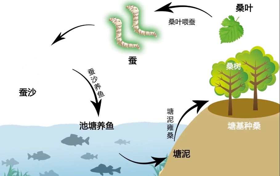 邂逅佛山最美春天!_农业
