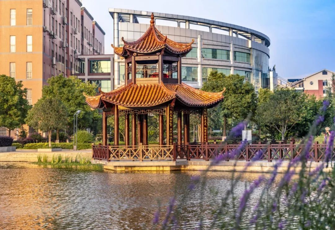 全体湖中大你的思念已收到