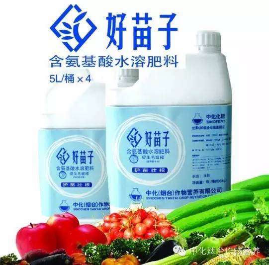 好苗子含氨基酸水溶肥料