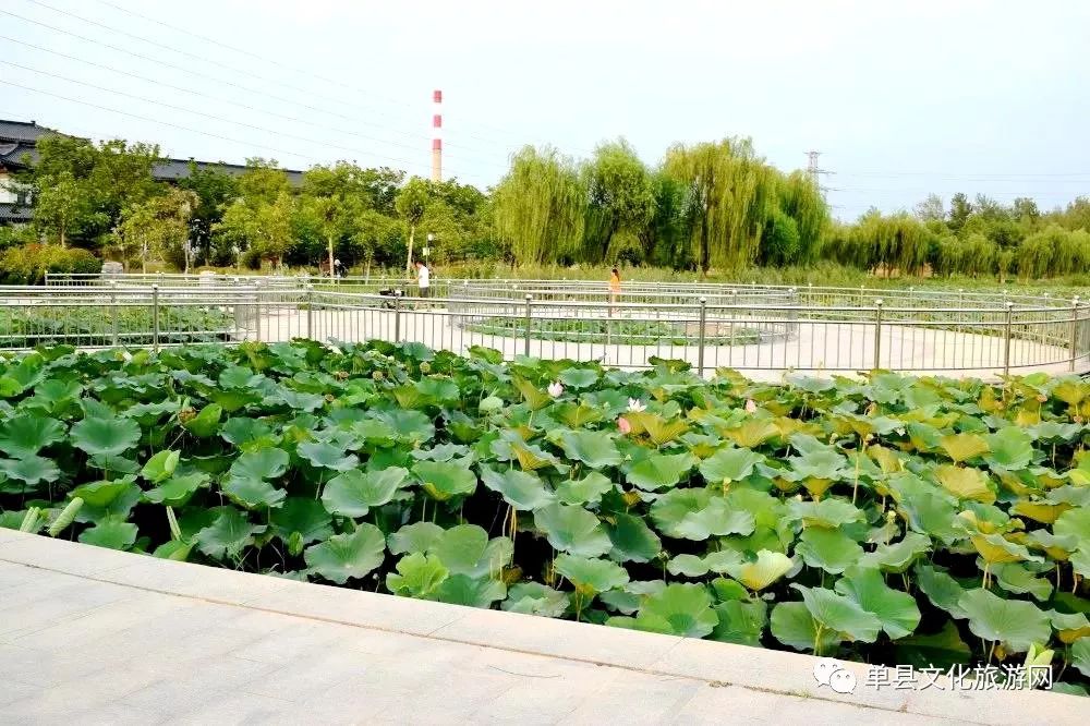 穿越历史与未来单县又出大片啦