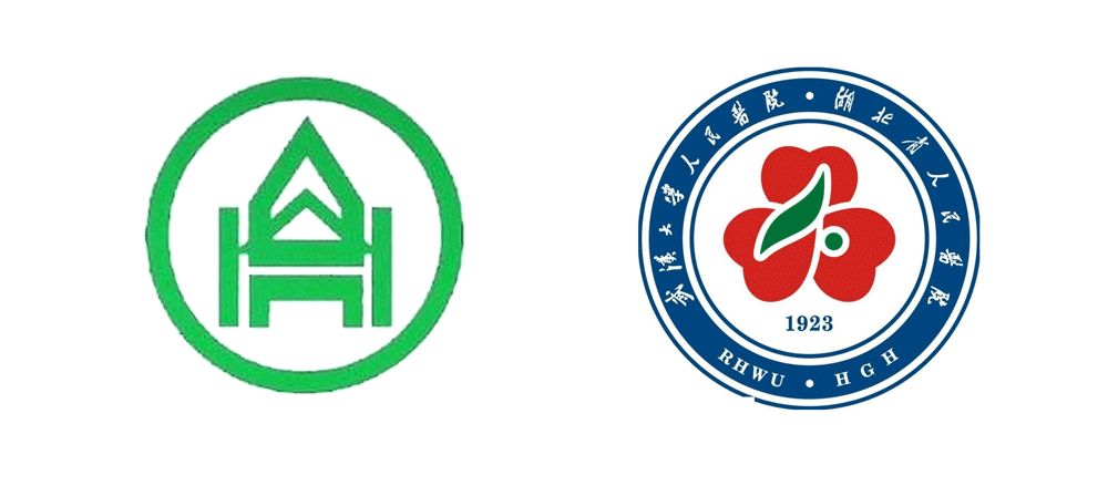 logo为山东大学齐鲁医院与武汉大学人民医院的院徽相结合,表达了两家