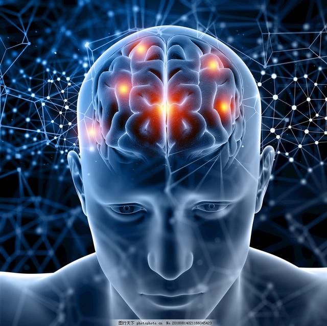 神秘的人大脑之谜