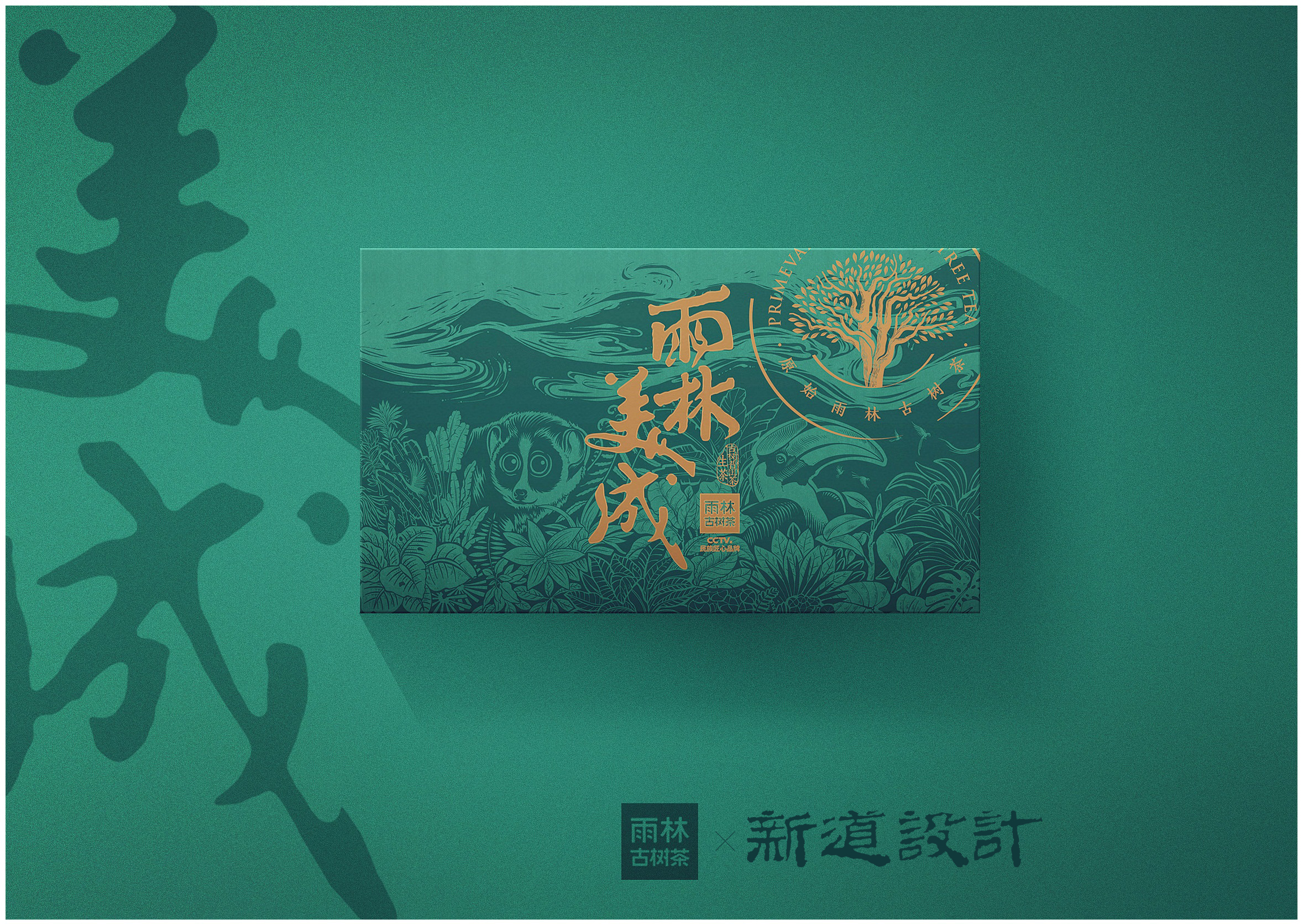 雨林古树茶包装设计图片