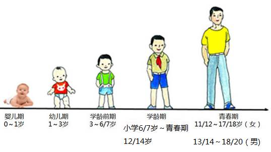 小儿年龄分期及各期特点