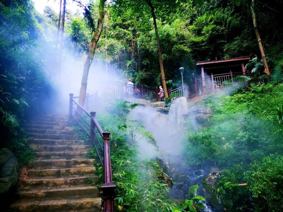 恢复开放丨定南桃花源景区对全国医务工作者免票一年!