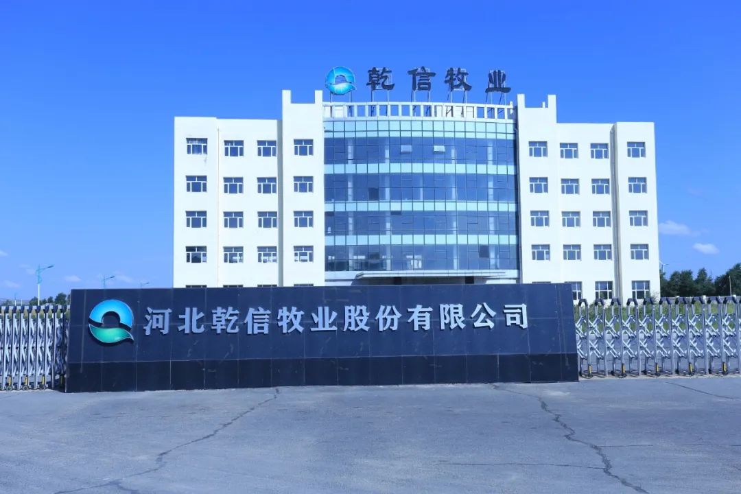 关于围绕价值创造展开人力资源管理