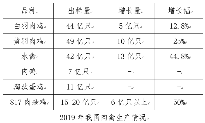 白羽肉鸡料肉比图片