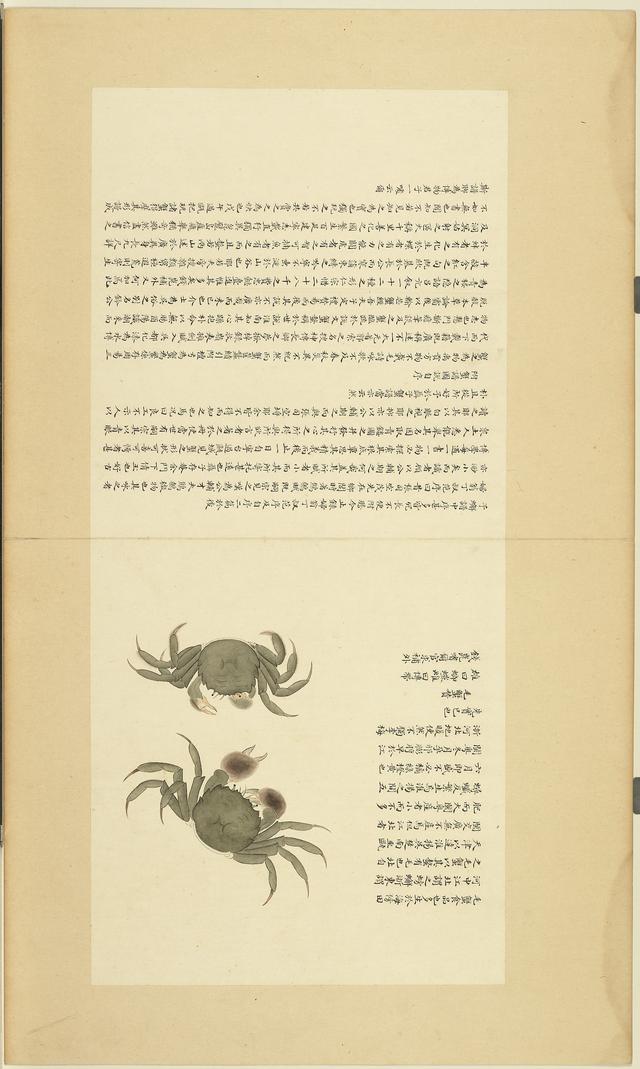 台北故宫博物院藏海错图清康熙绘本第四册