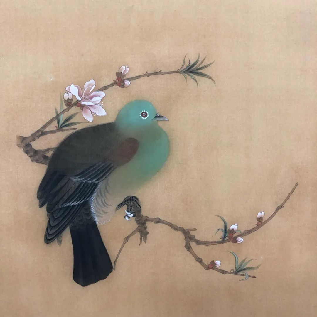 【苏门画苑】2019级中央美术学院苏百钧教授工笔花鸟画高研班课程作品