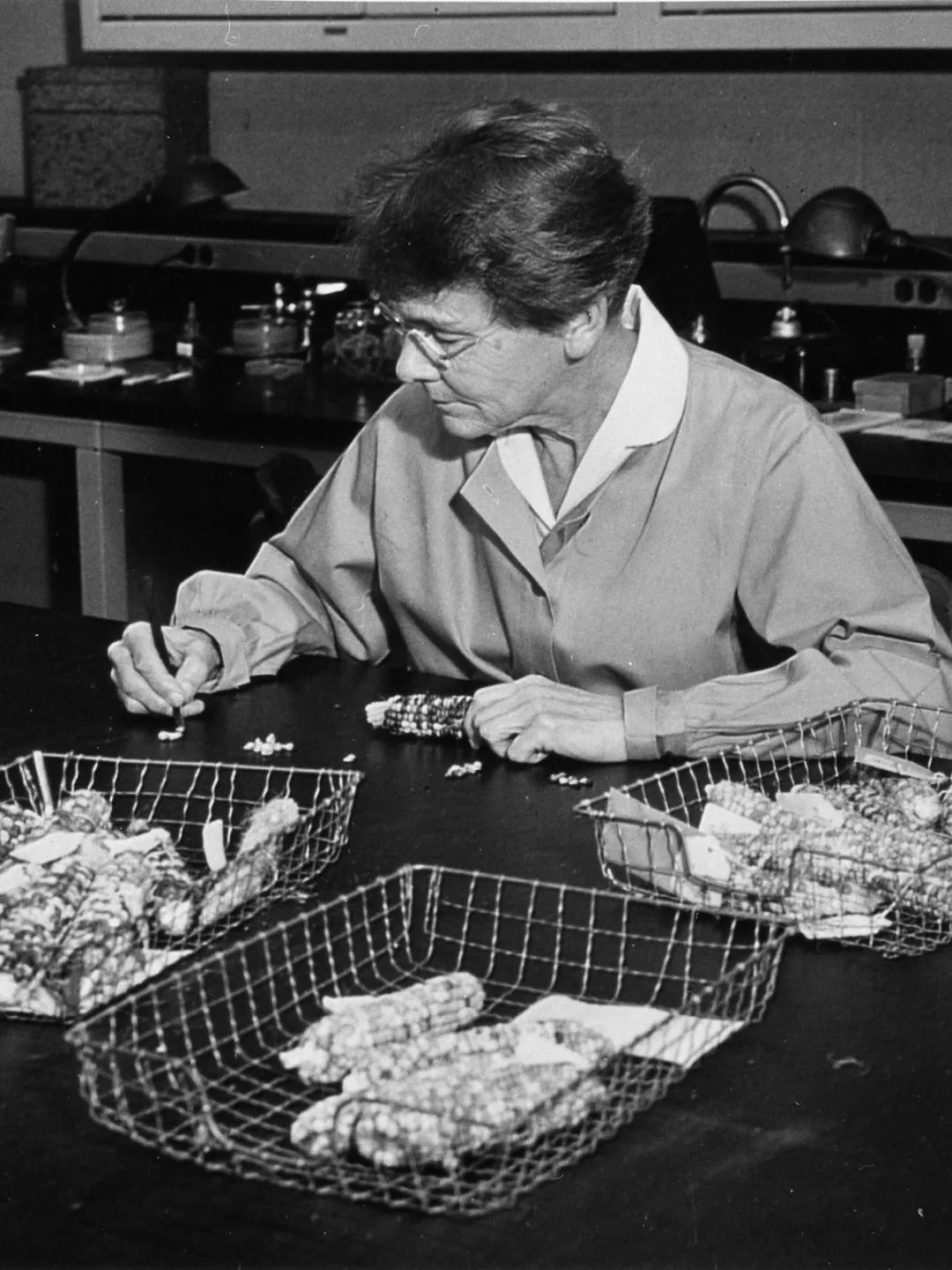 这里有五位你应该知道的女科学家_威廉·赫歇尔