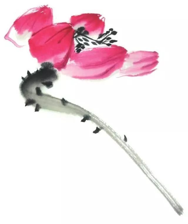 国画教程水墨荷花荷叶的画法