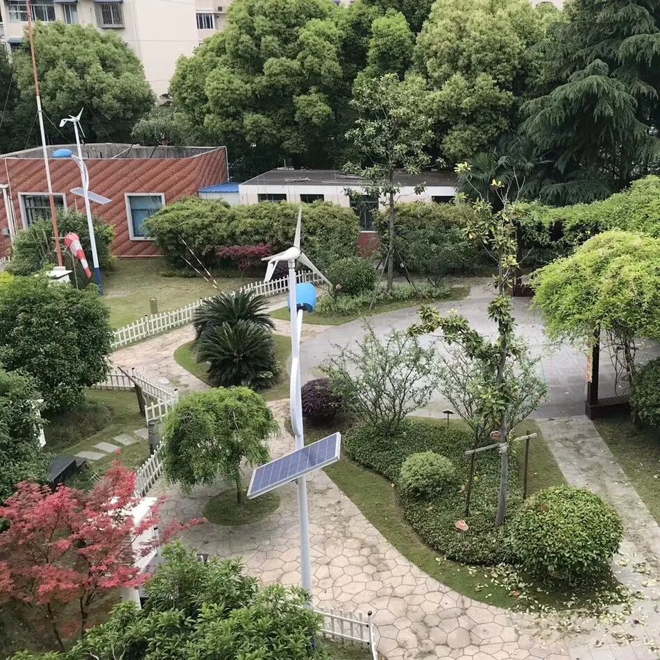 相约云端春暖花开致敬女神恒德小学庆祝2020年三八妇女节