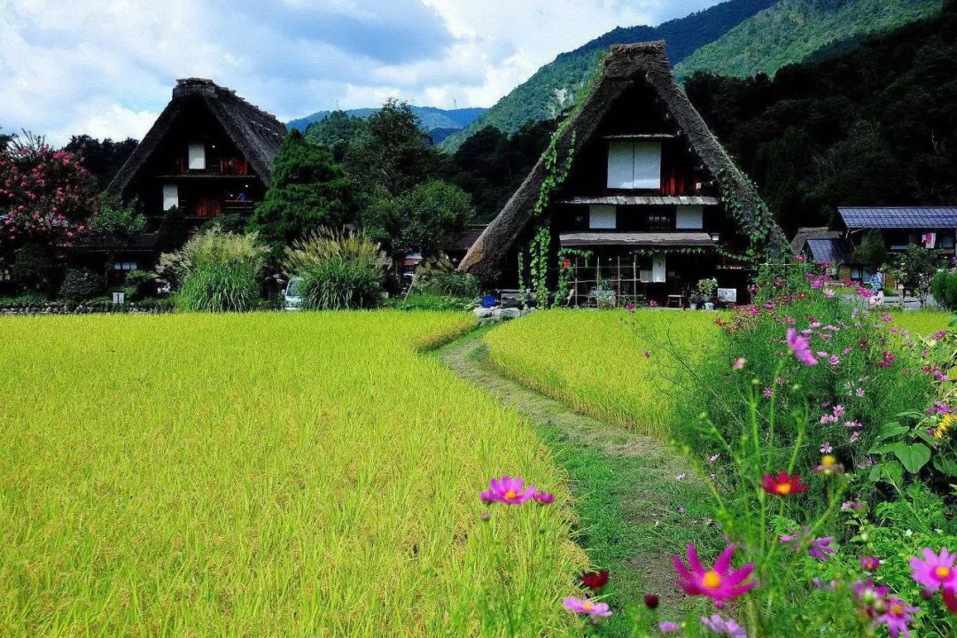 田園綜合體鄉村文化旅遊的四要點_文旅