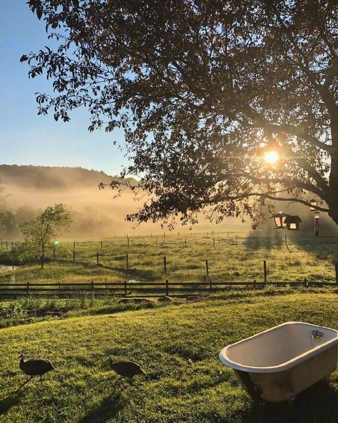 生活原本的模样