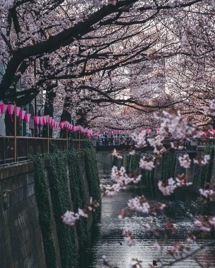 图片[11] - 【xizi被窝段子20200308】接下来 会有始料不及的运气 会有突如其来的欢喜 - xizi