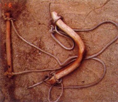 野外实地探寻牛轭湖记发现身边的地理故事