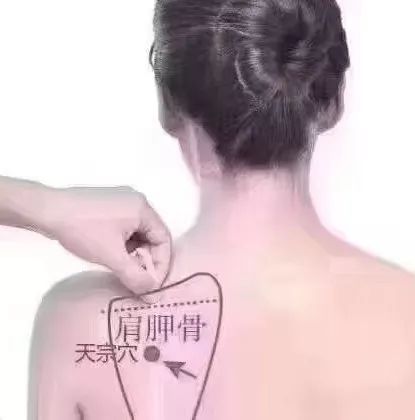背部乳腺反射区图图片
