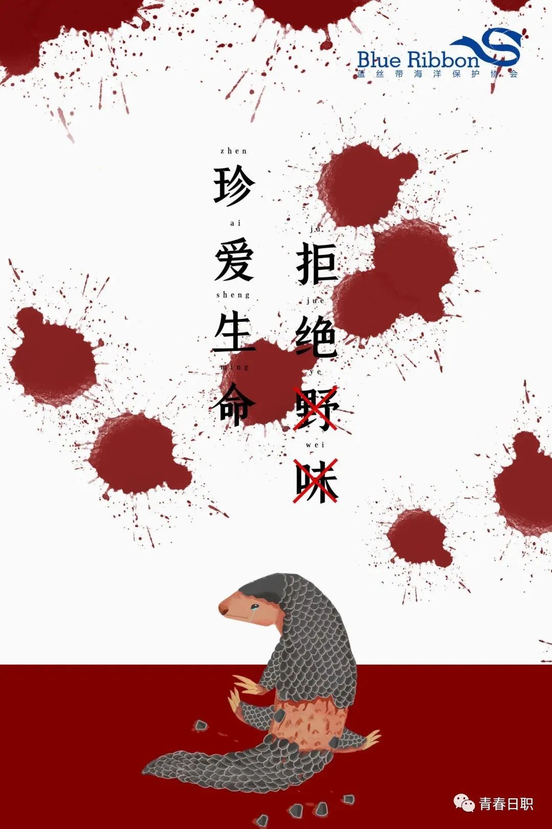 猎杀着小动物我们总活在自己的世界里没有处理好与野生动物的关系这