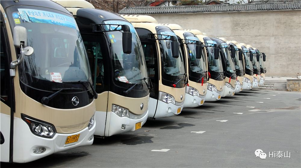 泰山客运静待邂逅相逢共赏春暖花开