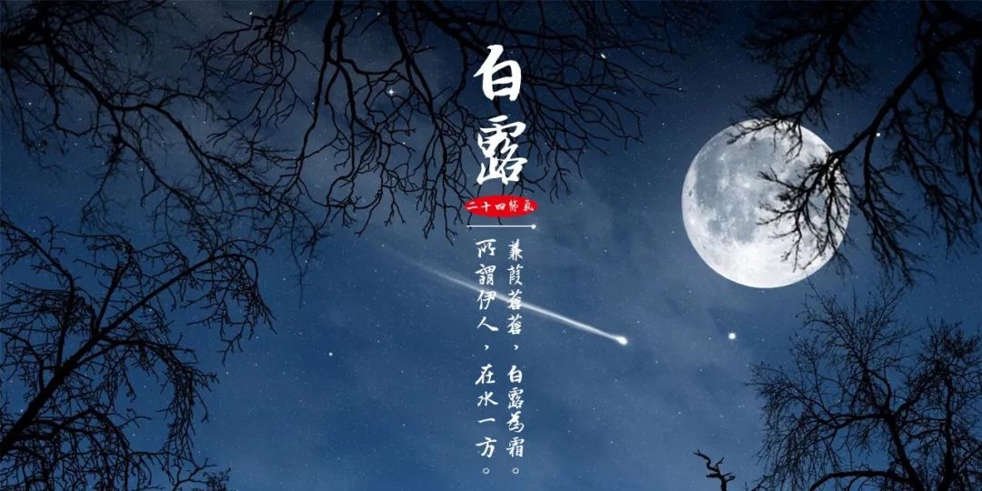 露从今夜白月是故乡明