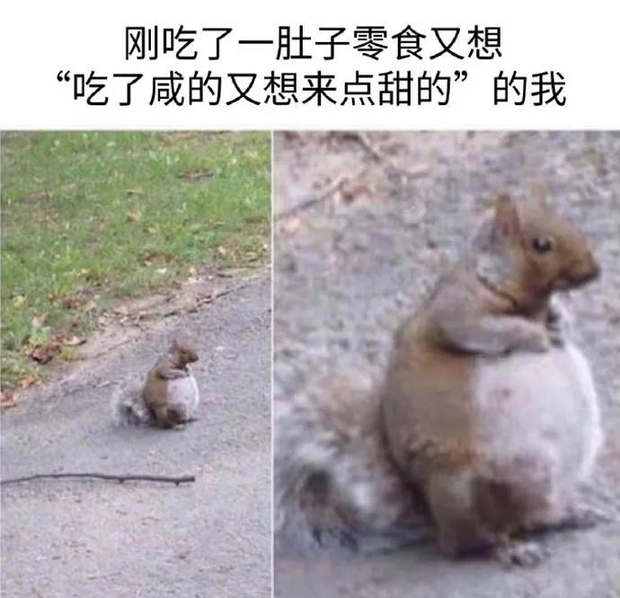 图片[30] - 【xizi被窝段子20200308】接下来 会有始料不及的运气 会有突如其来的欢喜 - xizi