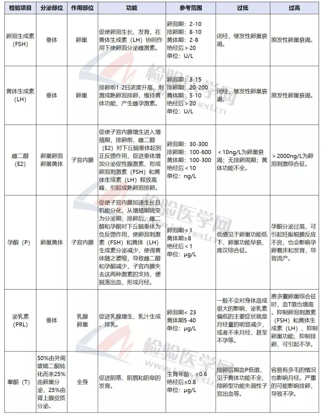 女性生育功能的基本条件之一,下丘脑调控垂体功能,垂体调控卵巢激素