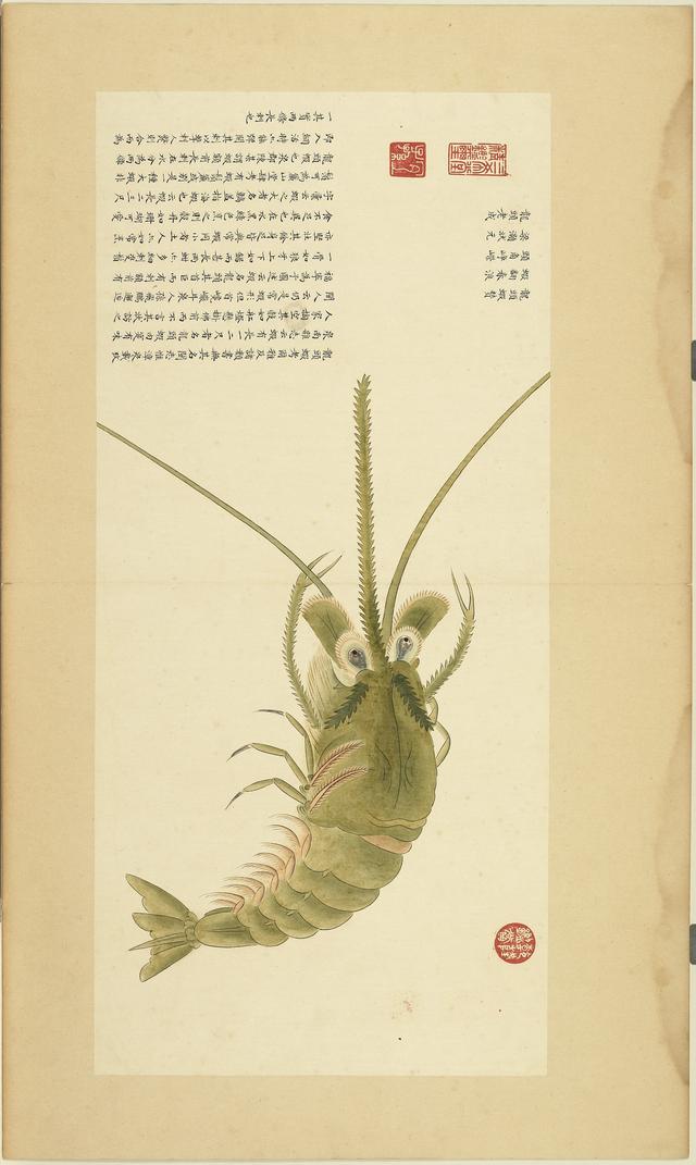 《海错图》是清朝康熙年间,由画家聂璜绘制的一组图谱.