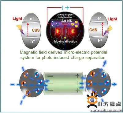 山東大學在磁場促進光催化產氫性能方面取得新進展