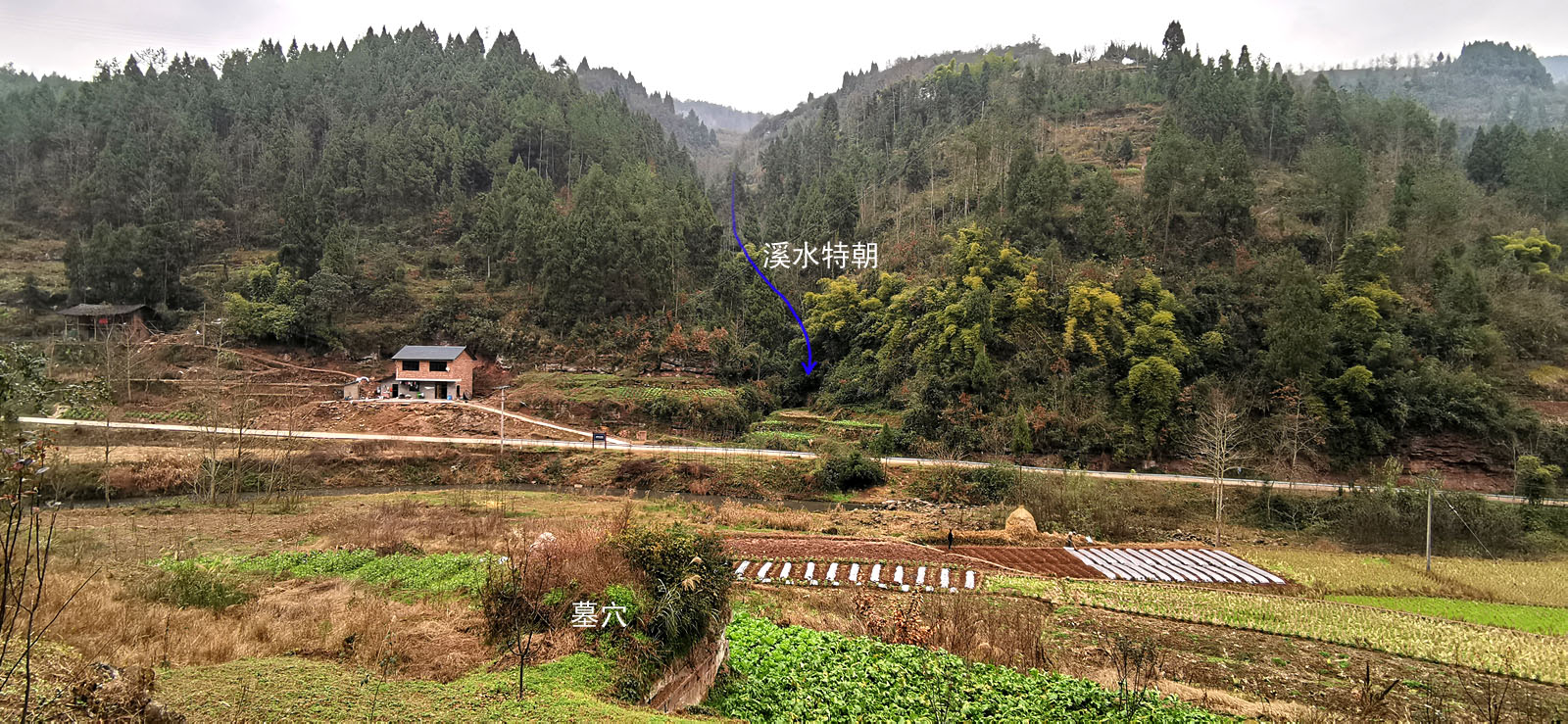 陈益峰挂壁金钗邓氏八品祖坟