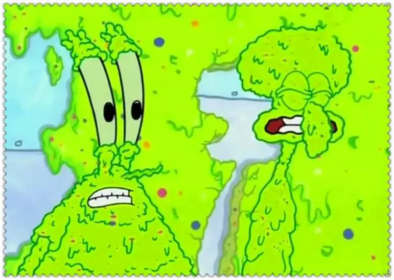 小窝对这个海藻菌真的是爱到了深处,但是这个绿色的玩意儿对海绵宝宝