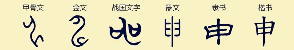 三千年前看“女”“神”_甲骨文