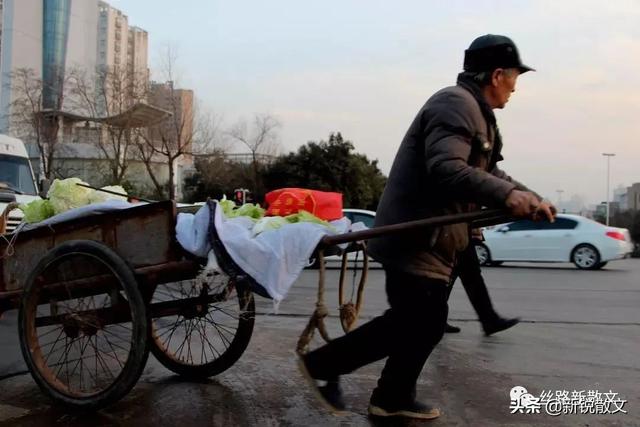 男人每天拉车给人送煤儿子想让他到店里帮忙男人老子不伺候