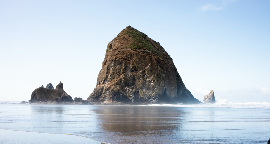 家电市场的旺季必须靠拼抢，美的海尔海信格力九阳率先破局-家电圈官网