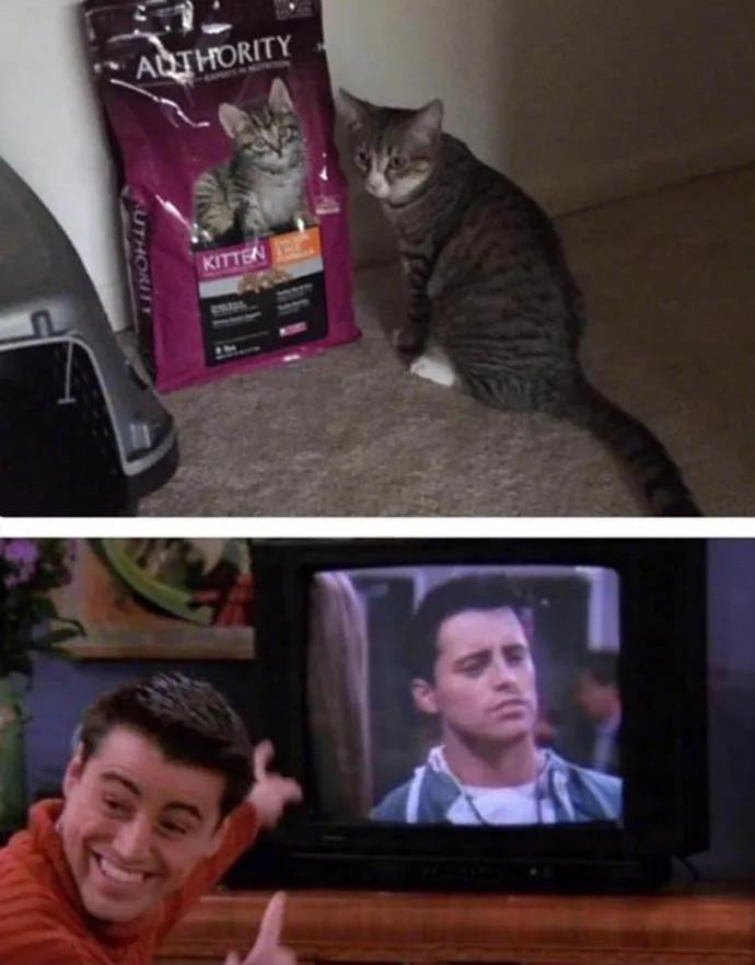 图片[31] - 【xizi被窝段子20200308】接下来 会有始料不及的运气 会有突如其来的欢喜 - xizi