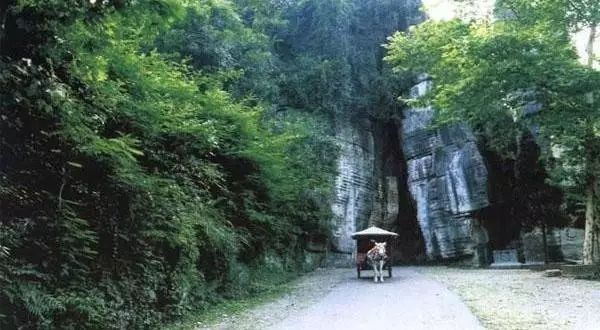 传奇揭秘:古代隐士的衣食住行与赚钱_山林