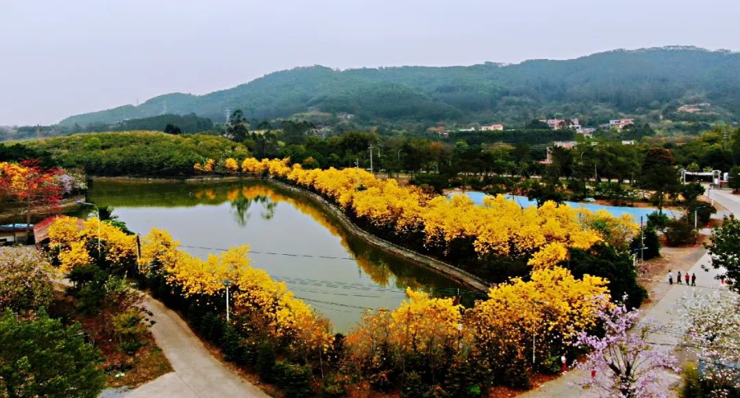 花都赤坭镇蓝田村旅游图片