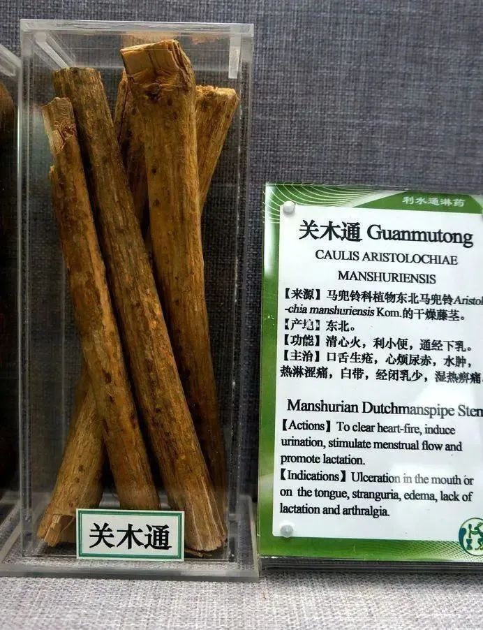 中医“骗子”凭什么能活跃在抗疫斗争第一线？_张伯礼