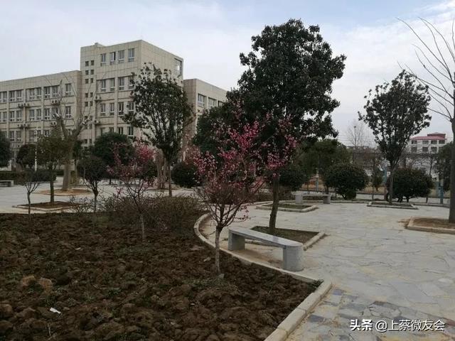 上蔡中学什么时候开学?春暖花开等你归来(图6)