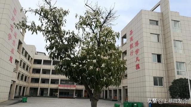 上蔡中学什么时候开学?春暖花开等你归来(图5)