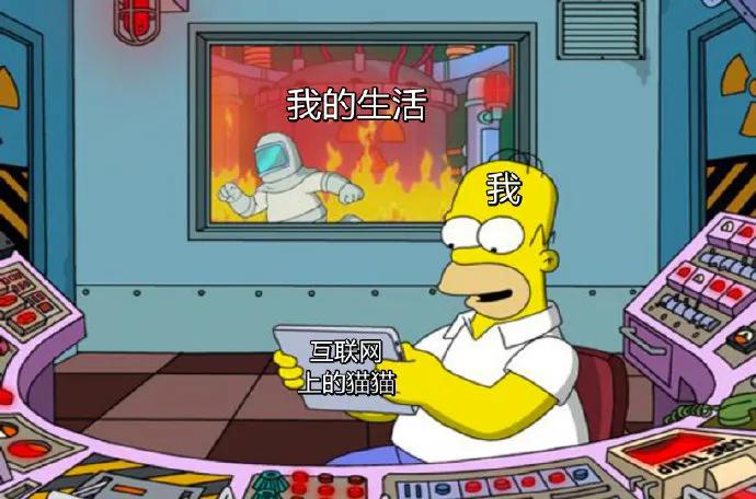 图片[40] - 【xizi被窝段子20200308】接下来 会有始料不及的运气 会有突如其来的欢喜 - xizi