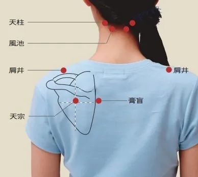 背部乳腺反射区图图片