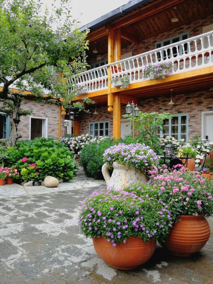 现代乡村式庭院,既可是花园,也可为民宿