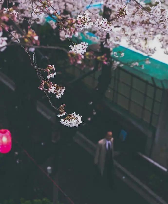 图片[4] - 【xizi被窝段子20200308】接下来 会有始料不及的运气 会有突如其来的欢喜 - xizi