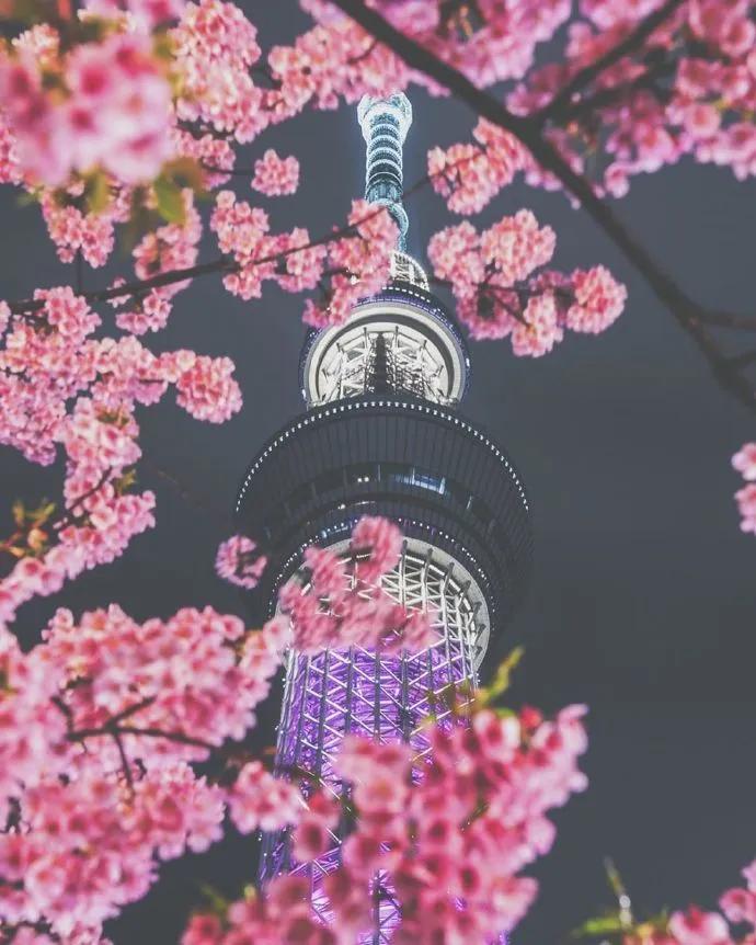 图片[13] - 【xizi被窝段子20200308】接下来 会有始料不及的运气 会有突如其来的欢喜 - xizi