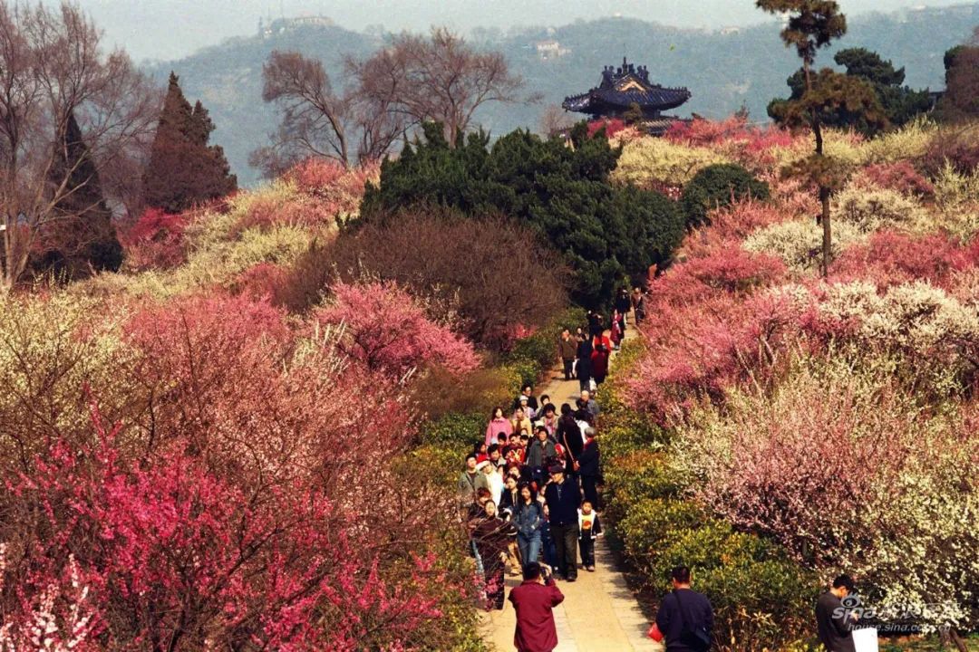 春天里最适合赏花的10个地方你去过几个