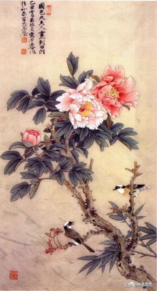 国色天香春长寿永俞致贞丨工笔牡丹专辑