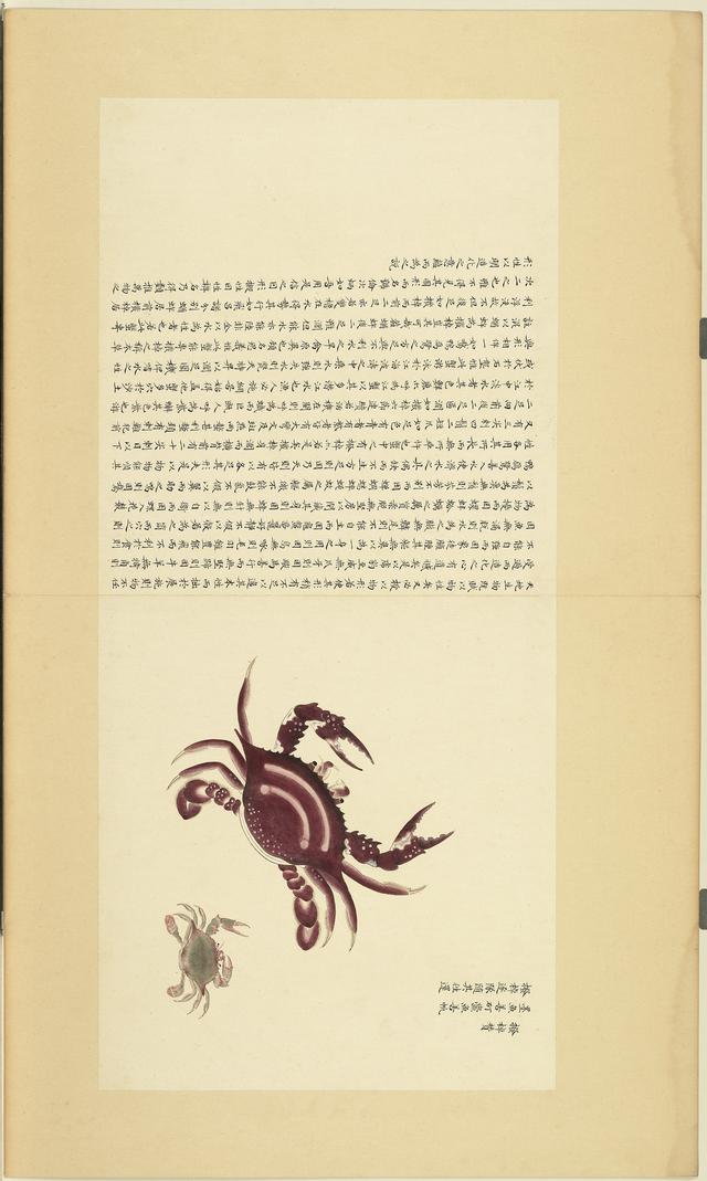 台北故宫博物院藏海错图清康熙绘本第四册