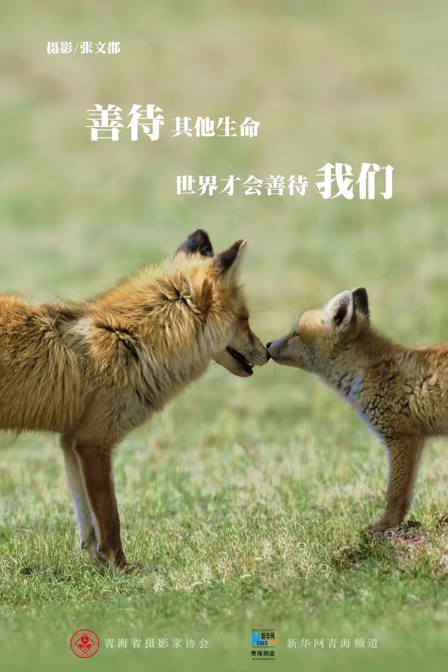 尊重生命疫心疫意惊喜会在裂缝中结果